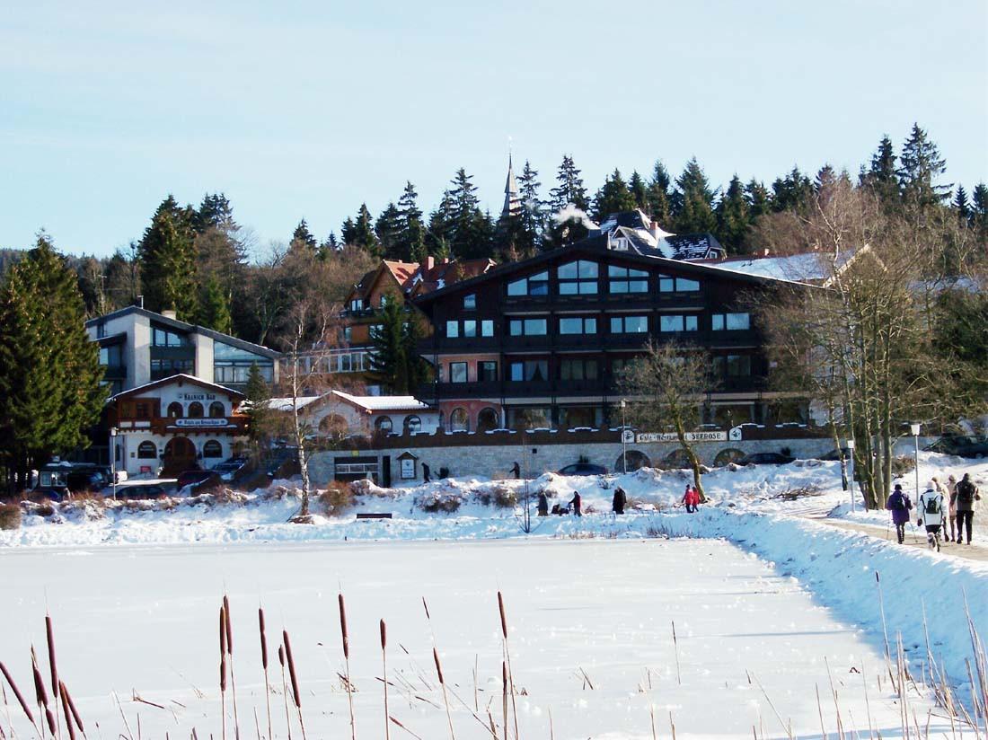 Hotels Am Kranichsee ゴスラー エクステリア 写真